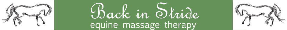 Back In Stride Equine Massage